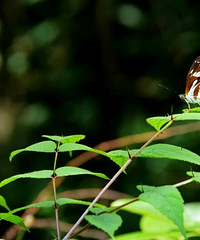 ��������ˬ