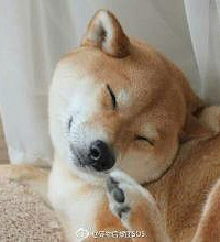 ������Ϊ����������ҥ���̾У������ô����