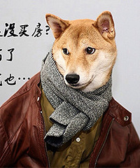 [�ذ�]����ס��������������߽����� ��ת������ͣ��