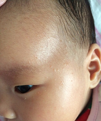 �����ơ��������ϵ���ʲô��