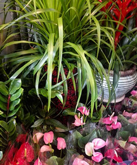 ��ʦ�ڿ���