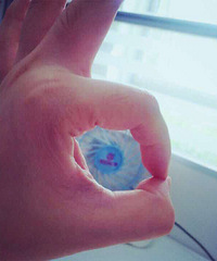 ɹ��ȦȦ���±�