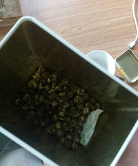 ��û�ˣ�����֪������ɶ��Ҷ