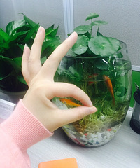 ɹ��ȦȦ���±�