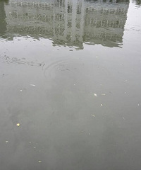 ���������������ô�ˣ���Ȼȫ������׶�Ƥ��