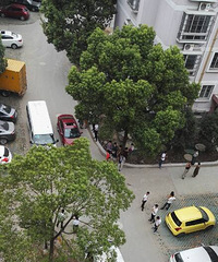 �ֲ����Ϻ��˹����ţ�