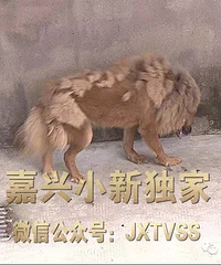 ���������ס�����ռ�ݴ�ί��������ҹ  ���񲻵����뾯��͵�����