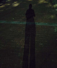 һ��ͼ֤������ҹ�ߡ�