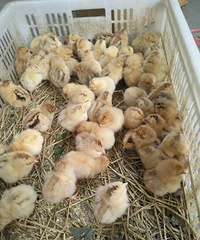 ��ô�ɰ�*^o^*