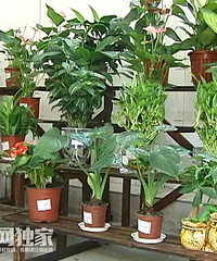 �����мһ��꾹Ȼ���ڷ����Ĺ�������������ϰ���ȴ���Ĳ�ȡ