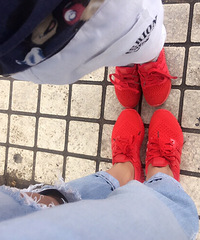 �����Ķ����������ߵ�ȫ���ߣ��𿹾ܣ�����