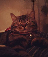 è������ʮ����Ҳ�ǲ��ס���