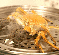 2��1088Ԫ��բз����Ŷ~