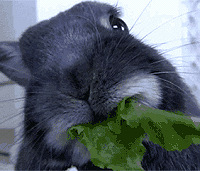 [���һ�챨��]ȥ�پ�ҽԺ����ҽ �������