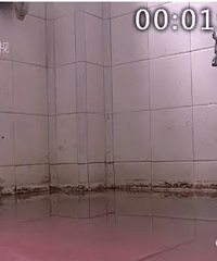 ���۵Ĳ��������Ƶü���һʦ��ÿ�촩��Ь�ϲ���