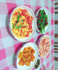 ��������ղ������˵����������׵� ������