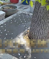 ���´����е�����ˮ�ࡰ��ڡ�  ר��ȴ˵��