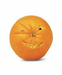 ף���������֣�