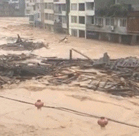 ��λ����ר��ʧ��ʹ�ޣ�����̩˳�������������ű���ˮ���