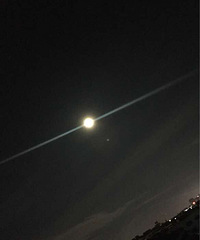 ������Բ