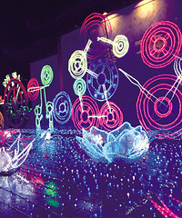 ����С���ټ��������淨 �������ҹ�������ˣ�