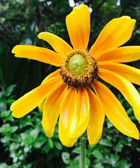 91��MM ��ʦ��ҵ  �����º� ���Ҹ����߽�����