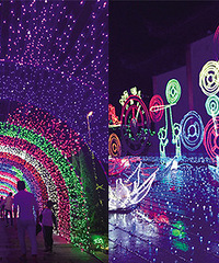 �����ȥ�� �������ҹ�������ˣ�