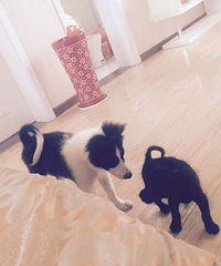 �ϰ�����������۴����˻ؼҵĻ��� ������Ǵ�������