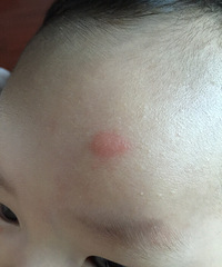 �����ơ���ҽ����������ͷ��һ���ӡ����֪��������