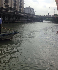 �º��ֳ������� �����˺����и�ʬ  ���춼����