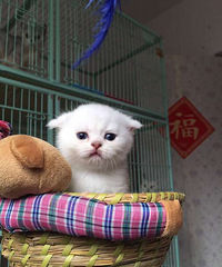 һ���˵����������ЩС�һ����飬Ӧ��