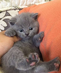 һ���˵����������ЩС�һ����飬Ӧ��