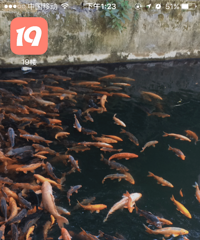 ��Ҫ�Դ�բз