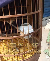 ����һ"����"��ʿ͵���ϰ���ֻ�� ���Ҫȥ���η��ˡ�