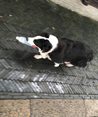 �����˻�����ϵ�У����������·���˼Ҷ��Ŀ�ƿ����ɾ�