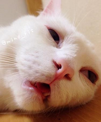 ��2������������ ����׶οֲ�������....