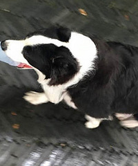 �û��ǣ����������·���˼Ҷ��Ŀ�ƿ����ɾ�