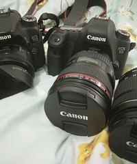 ����������������������