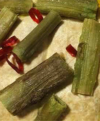 �ҵ�� ��˵�ܶ��˶��Բ�����