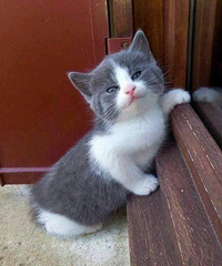 �������ǵ�ÿ��΢ЦŶ