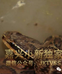 �����롿�����ϰ�ÿ�����ʮ���������˻� �����˴�ơ���