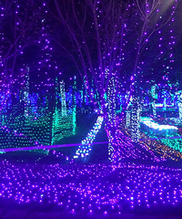 ÷�����λõƹ�ڣ�