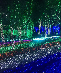 ÷�����λõƹ�ڣ�