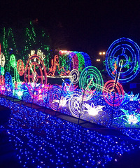 ÷���޵ƹ�ڣ�