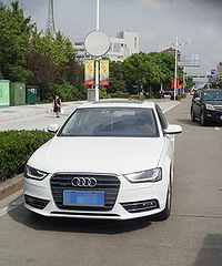 ���������ˣ������ġ�Υͣ�� ÿ�ν���50Ԫ��