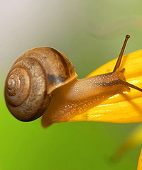 ѧУ��ʦ���õ�������ҵ��ץ��ţ ���������У�