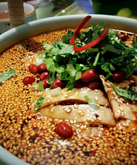 һ�������࡯��������ʳ��;��������+ˮ����Ƭ+ð�廨�⡭��