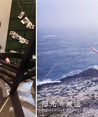 91��ʨ��Ů ϲ������