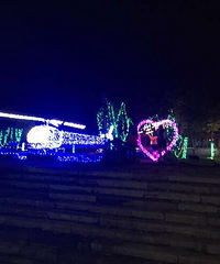 ÷���޵ƹ��