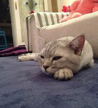 ¥���ھ�����ֻ������ �Ӵ���˯��20����İ��Ⱦ�û��